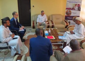 Tchad: le ministre de la Santé Publique reçoit le chef de bureau de l&rsquo;agence Hungary Helps