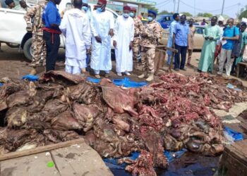 N&rsquo;Djaména : Plusieurs carcasses d&rsquo;animaux violant les normes sanitaires saisies au 4ème et 8ème arrondissement