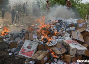 Tchad: incinération de produits périmés et prohibés par la douane tchadienne