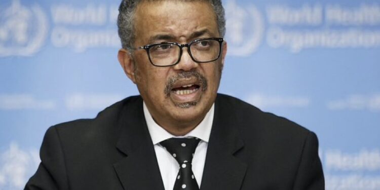 Plus de 8 000 enfants traités pour malnutrition aiguë à Gaza selon l&rsquo;OMS