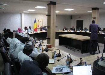 Tchad: la lutte contre les inondations et la promotion de l&rsquo;hygiène et assainissement au centre d&rsquo;une réunion