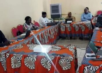 Tchad : Atelier sur la Simulation du Choléra pour Renforcer la Préparation aux Urgences Sanitaires