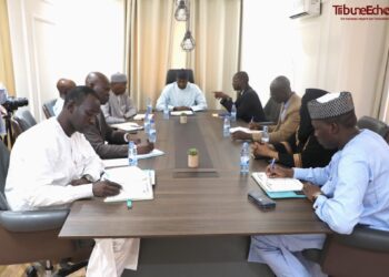 Tchad: Débat sur le rôle de l&rsquo;ONAPE au sein de l&rsquo;ANIE