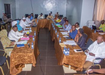 Tchad : Examen et adoption des textes de base du Groupement d&rsquo;intérêt économique