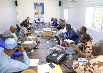 Tchad : La lutte contre les inondations au centre d&rsquo;une réunion présidée par la ministre de l&rsquo;action sociale