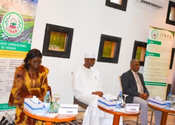 Tchad: N’Djaména accueille les travaux de l’atelier régional du Centre National de Spécialisation du blé.