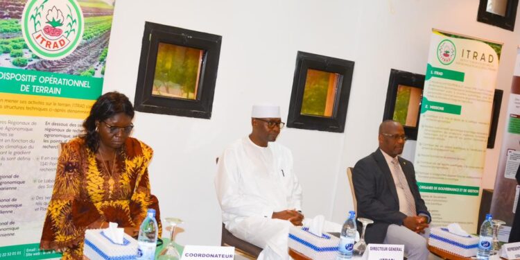 Tchad: N’Djaména accueille les travaux de l’atelier régional du Centre National de Spécialisation du blé.