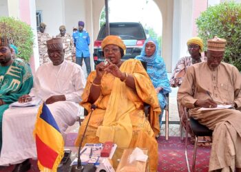 N&rsquo;djamena: La Déléguée Générale du Gouvernement échange avec les délégués de quartiers.