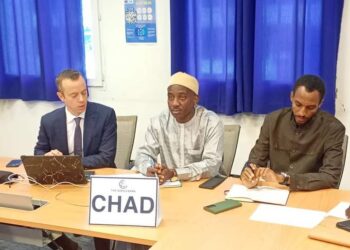 Ndjamena: l&rsquo;électrification du Tchad au cœur d&rsquo;une réunion