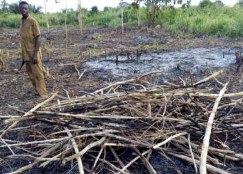 Tchad : Les autorisations de défrichement suspendues jusqu&rsquo;à nouvel ordre par le Ministre de l&rsquo;environnement