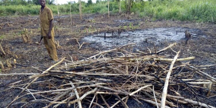 Tchad : Les autorisations de défrichement suspendues jusqu&rsquo;à nouvel ordre par le Ministre de l&rsquo;environnement