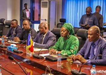 coopération: Lancement des Discussions sur le Projet de Pipeline Niger/Tchad/Cameroun