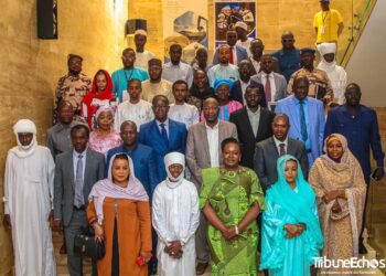 Tchad : La SONEMIC lance des ateliers multisectoriels de vulgarisation du cadre juridique et réglementaire des activités minières.
