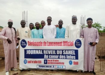 Tchad: le Journal en Ligne « Réveil du Sahel » lance ses Activités