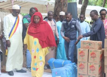 Tchad : La communauté humanitaire célèbre la Journée mondiale de l’aide humanitaire