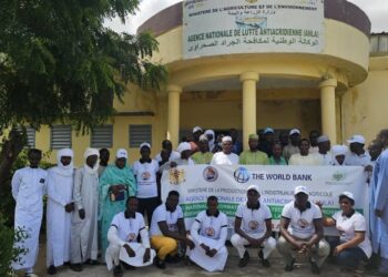 Ouaddaï: La campagne de lutte antiacridienne 2024 lancée ce 14 août à Abéché