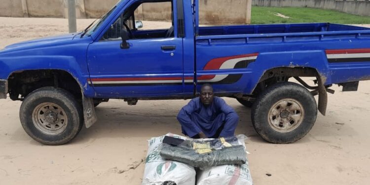 Lac_Tchad : Les troupes de la FMM neutralisent des agents clés de Boko Haram et de l&rsquo;ISWAP dans la lutte contre le terrorisme