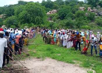 Guera: Les jeunes de Zerli 1 sensibilisent contre l&rsquo;utilisation des herbicides dans les activités agricoles
