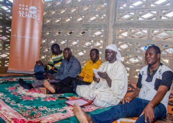 Mayo Kebbi Est: Le HCACT évalue les activités du comité de veille du canton Tikem.