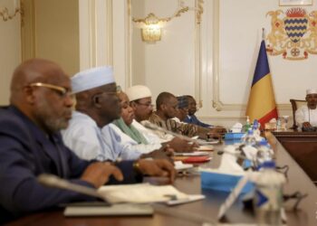 Tchad: le Président de la République appelle à la solidarité et à la vigilance face aux inondations