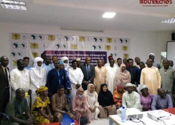 Tchad : La sensibilisation et la communication des difficultés du PAEPA SU MR au centre d&rsquo;un atelier.