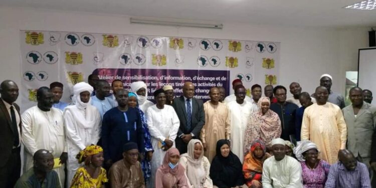 Tchad : La sensibilisation et la communication des difficultés du PAEPA SU MR au centre d&rsquo;un atelier.