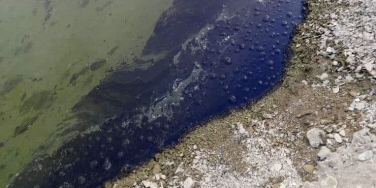 Tibesti : Brahim Tchagam interpelle les Ministres sur l’urgence environnementale liée à l’orpaillage. #Tchad