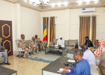 Moyen Chari : Les autorités se mobilisent contre les inondations