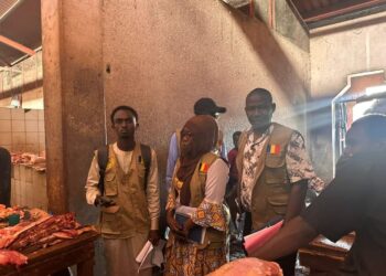 #NDjamena : Le ministère de la Santé publique supervise la chaîne d&rsquo;approvisionnement de la viande sur les marchés. #Tchad