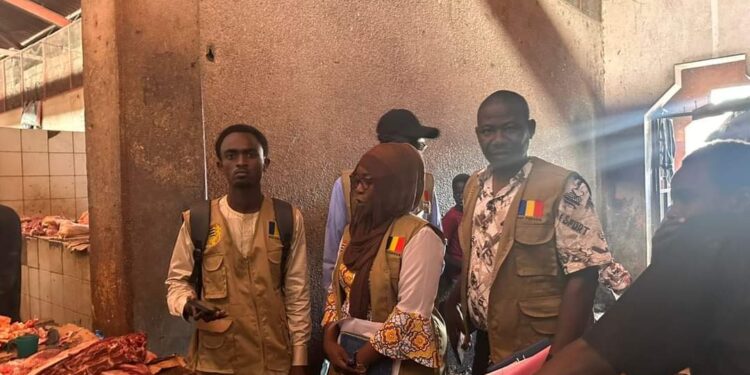 #NDjamena : Le ministère de la Santé publique supervise la chaîne d&rsquo;approvisionnement de la viande sur les marchés. #Tchad