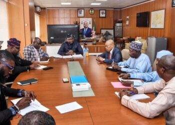 Le Tchad et Nigéria renouent le dialogue pour une interconnexion électrique : Énergie en Synergie.