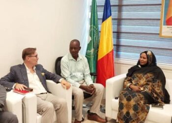 Diplomatie : La ministre déléguée reçoit une délégation hongroise pour discuter de la sécurité dans le Sahel. #Tchad