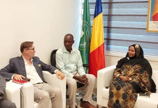 Diplomatie : La ministre déléguée reçoit une délégation hongroise pour discuter de la sécurité dans le Sahel. #Tchad