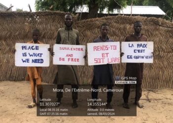 Lac Tchad: Plusieurs éléments de Boko Haram et leur adjoint commandant déposent les armes et se rendent