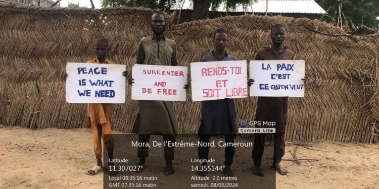 Lac Tchad: Plusieurs éléments de Boko Haram et leur adjoint commandant déposent les armes et se rendent