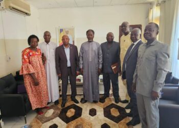 Tchad : Coopération académique renforcée avec l&rsquo;Afrique du Sud