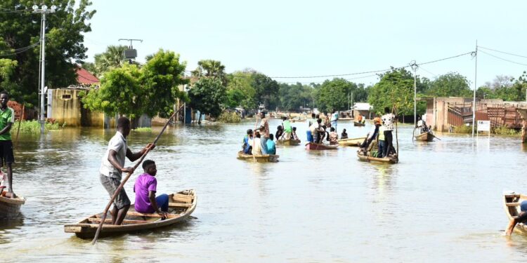 🇹🇩#Mayo_Kebbi_Est : Plus de 220 000 personnes touchées par les inondations, un cri du cœur pour les sinistrés. #Tchad