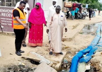 Tchad : Le Comité National de Prévention et de Gestion des Inondations supervise les travaux de drainage à N&rsquo;Djamena