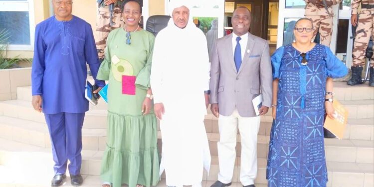 Tchad : Le ministre de la santé et ses partenaires échangent sur la réduction de la mortalité maternelle