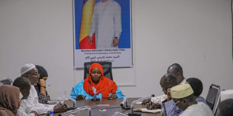 Tchad : La ministre de l&rsquo;Action sociale évalue la situation des sinistrés