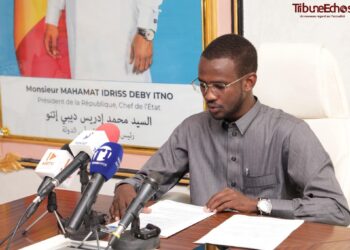 Tchad : L&rsquo;ONAPE lance un nouveau projet pour mieux répondre aux besoins des employeurs