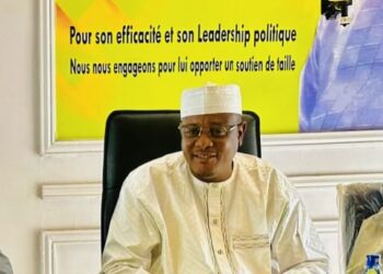 Tchad : Le RJ MPS appelle ses membres à s&rsquo;unir autour des candidats du parti pour les prochaines élections législatives