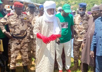 Guera: La semaine de l&rsquo;arbre lancée ce 03 septembre à Niergui