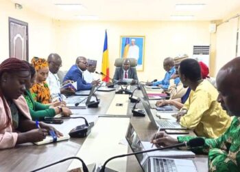 Tchad : Renforcement de la coopération entre le ministère de la santé publique et ses partenaires