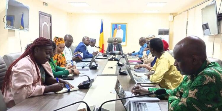 Tchad : Renforcement de la coopération entre le ministère de la santé publique et ses partenaires