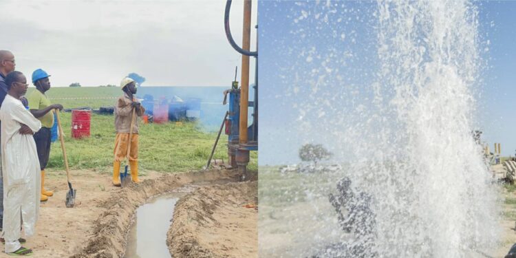 Tchad : Mahamat Issa Halikimi, un Leader au service des vulnérables