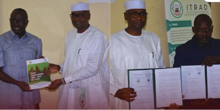 Tchad : L&rsquo;ITRAD renforce ses collaborations avec les universités de Sarh et d&rsquo;Ati