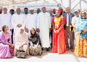 Tchad: Installation du poste phytosanitaire au port sec de Ngueli