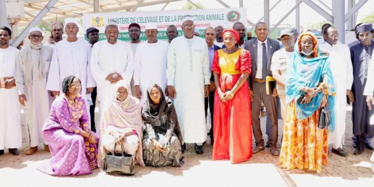 Tchad: Installation du poste phytosanitaire au port sec de Ngueli