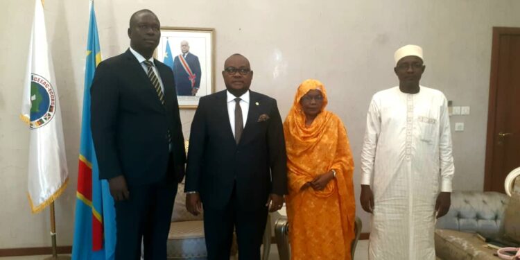 Tchad: Rencontre avec le représentant du facilitateur, focus sur les élections à venir